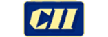 Confederation of Indian Industry